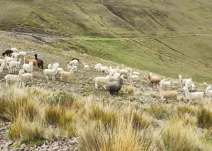 Fully Furnished 1bedroom In The Peruvian Andes