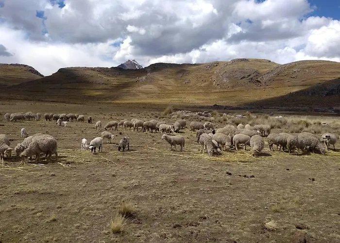 Fully Furnished 1bedroom In The Peruvian Andes *